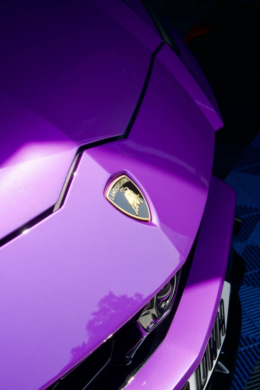 Gallery image lambo6 - Professional automotive detailing showcase