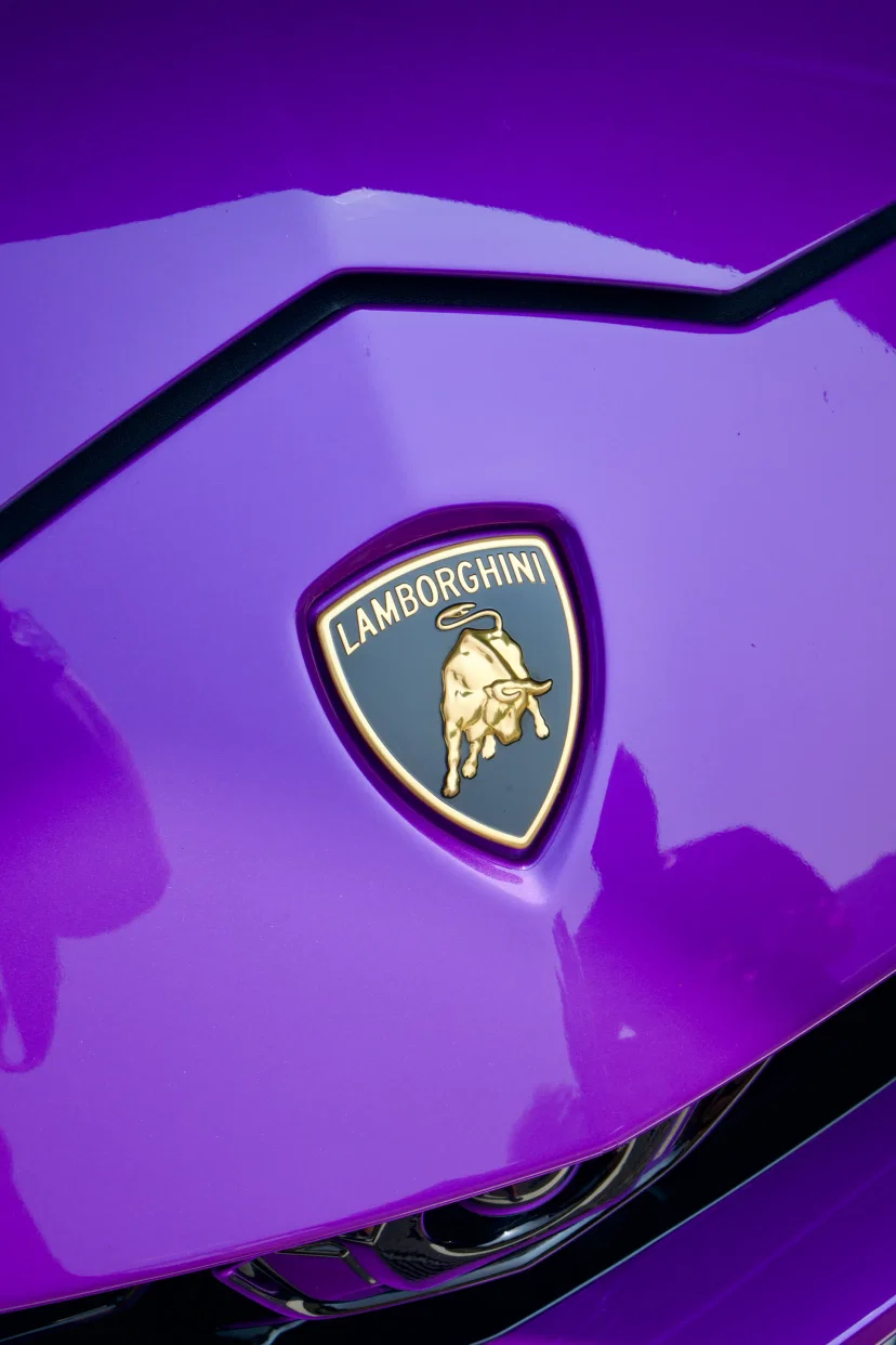 Gallery image lambo8 - Professional automotive detailing showcase